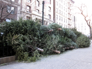 Bye, Christmas trees, you are no longer needed. 