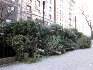 Bye, Christmas trees, you are no longer needed.