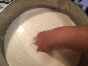 Checking to see if the curds had separated from the whey. (They hadn't fully so we let them sit a few more minutes.)