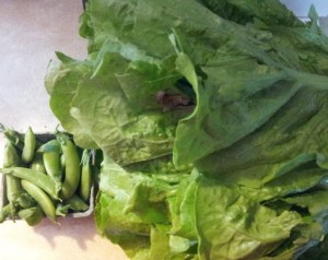 Peas for scale. The monster lettuce weighed almost 5 pounds and cost me $2.25! 