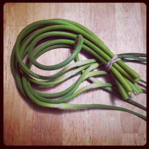 Garlic scapes. If garlic grew in heaven, it would look, and taste, like this. 