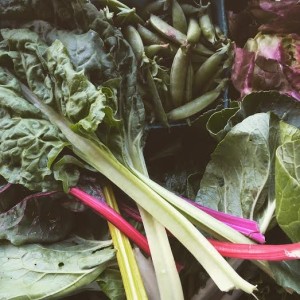 Snap peas, (my favorite!), lettuce, Swiss chard and other greens in a shared CSA haul from Vic’s neighbor.