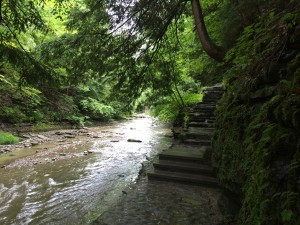 Hiking through the gorge in Stony Brook State Park near Dansville NY.