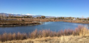 LongsPeak