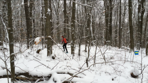 Running on a single track loop through the beautiful state park.
