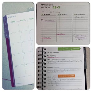 I love this planner because it has worksheets to help develop roles and goals as well as master tasks.