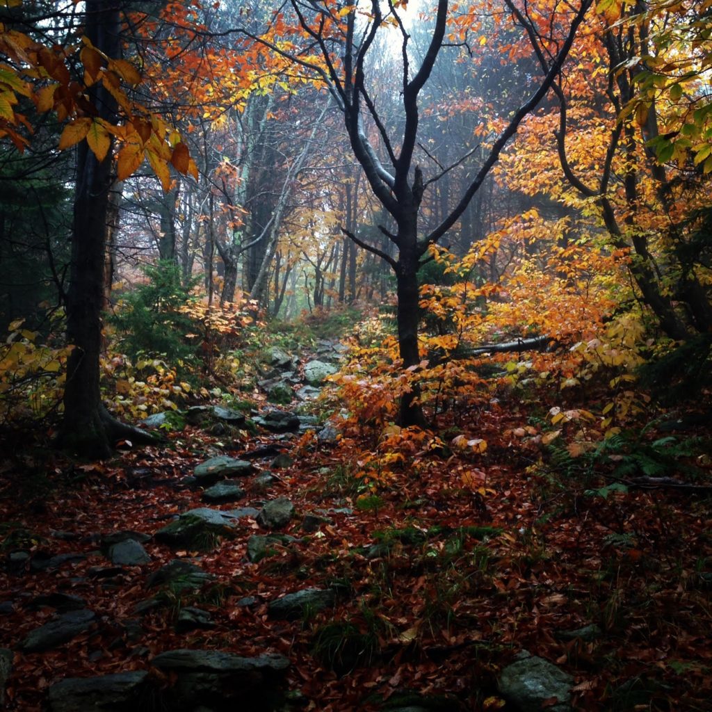 Taken on a 2013 hike in VT on the Appalachian Trail